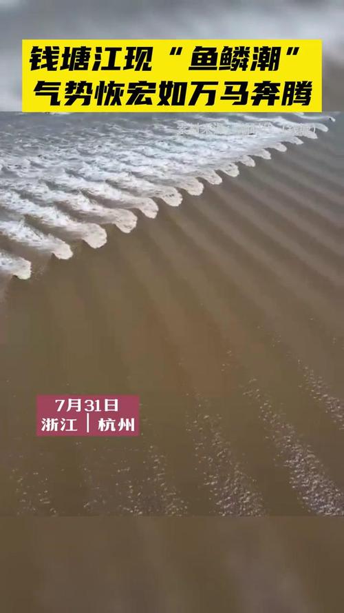 今天钱塘江大潮时间几点-今天钱塘江大潮时间几点杭州湾三桥