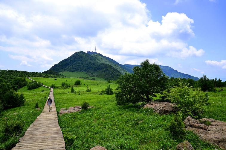 白草畔风景区电话-白草畔风景区电话多少