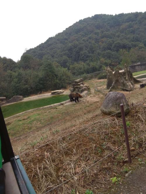 富阳野生动物园门票团购_富阳野生动物园营业时间