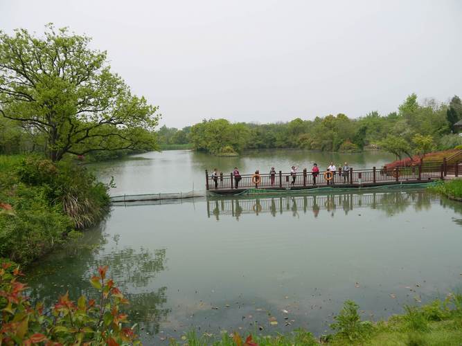 杭州西溪湿地公园要门票吗_杭州西溪湿地公园好玩吗