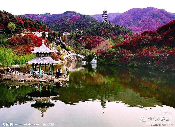 11月去哪里旅游最好_11月去哪里旅游最好山东周边