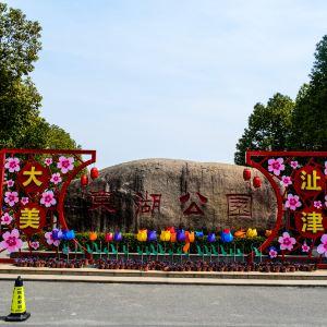 芜湖旅游攻略_芜湖旅游攻略一日游