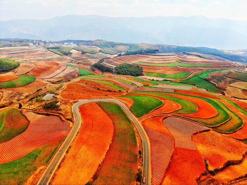 东川红土地图片_东川红土地在哪